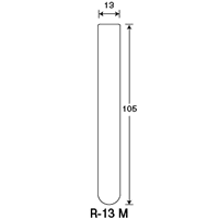 R-13M